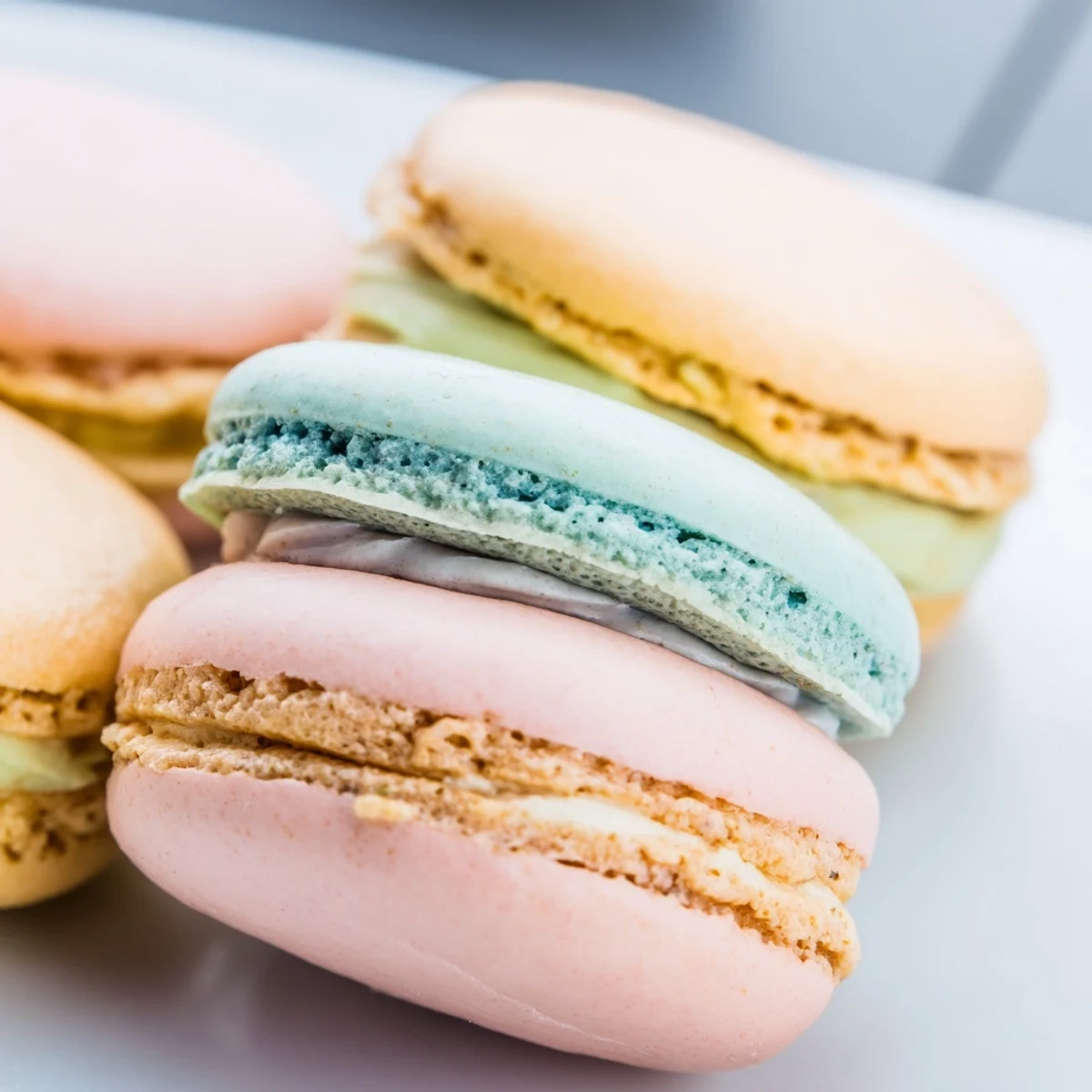 Delicate French macarons sandwiched with vanilla buttercream filling on a white serving plate